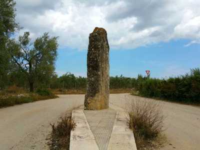 A Terlizzi, in localit� Cappella del Vico, si trova una struttura megalitica che oggi funge da spartitraffico